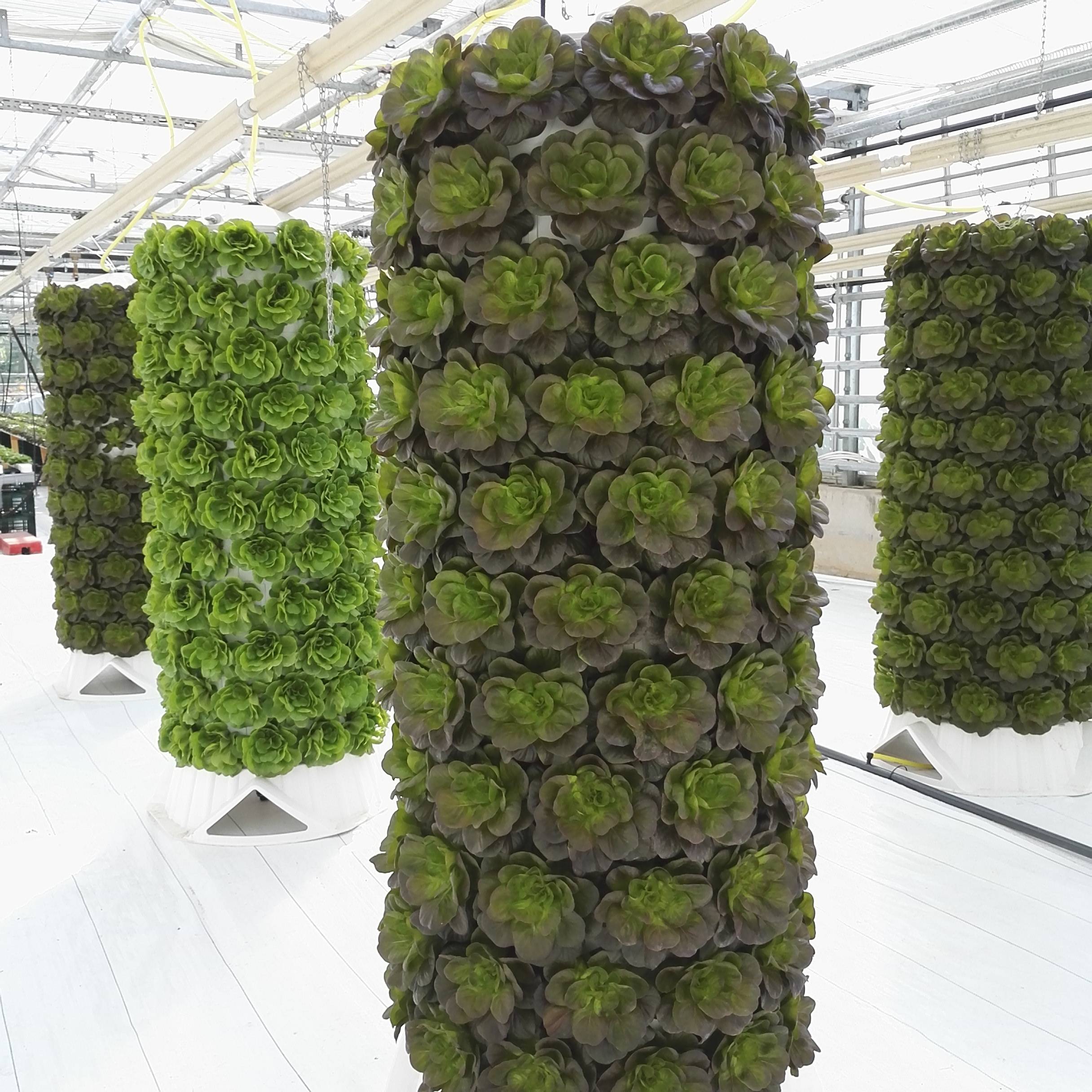 A Basement Pvc Vertical Hydroponic Tower Garden Video Basement Pvc