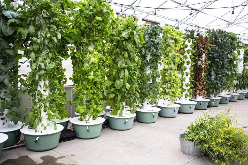 Foody Hydroponic System Hydroponic Gardening