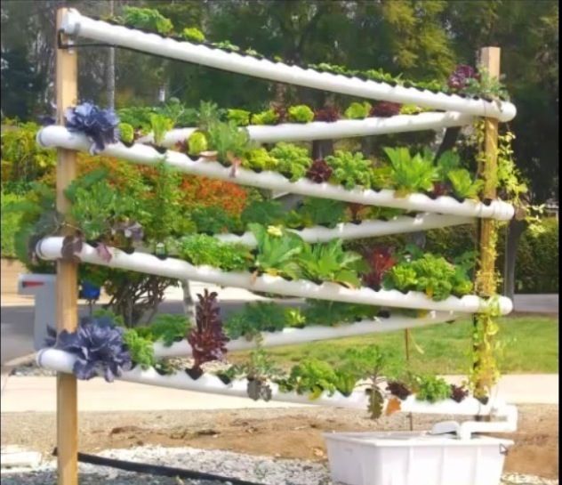 Hydroponic Lettuce Tower Diy