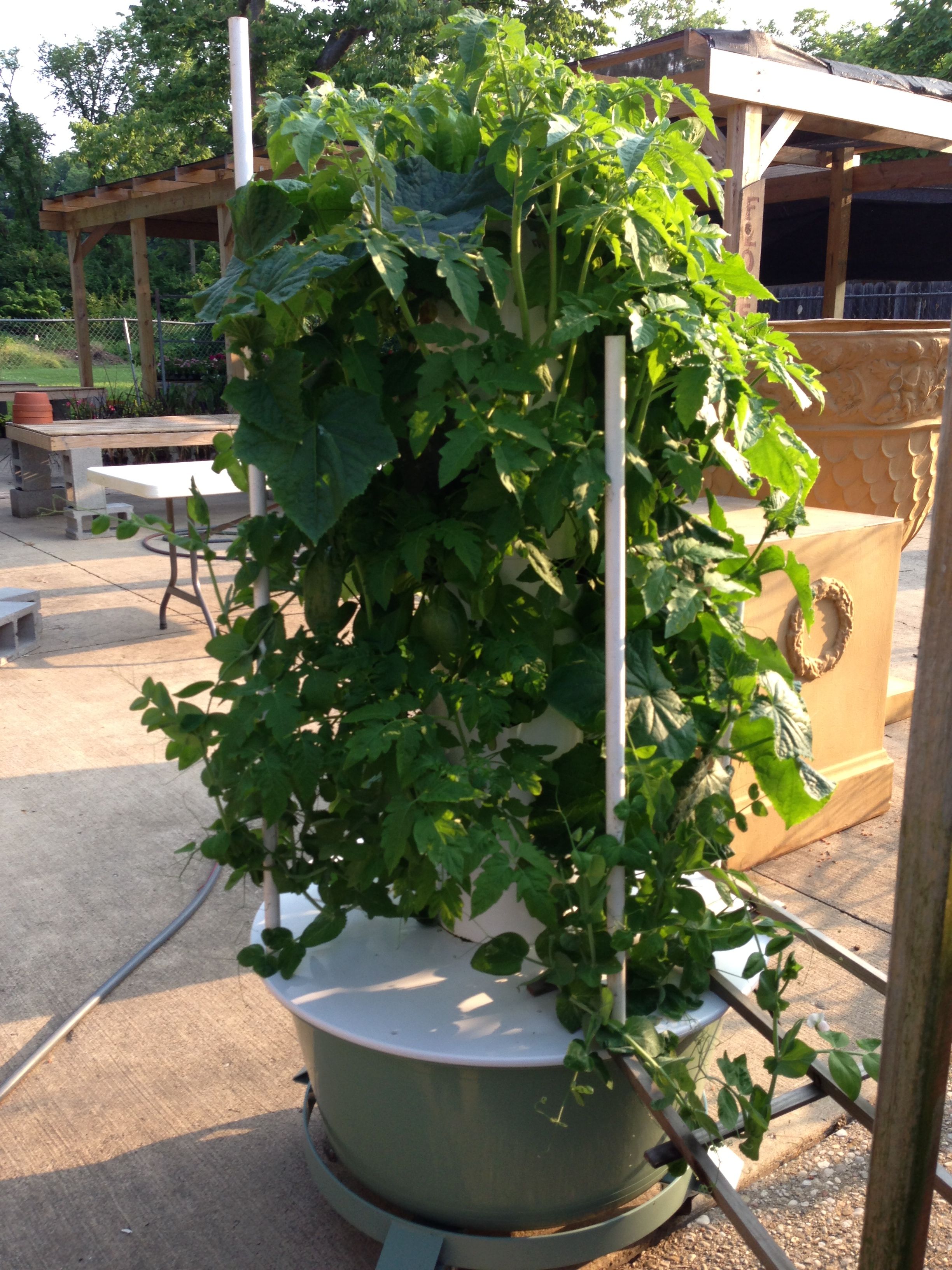 Hydroponic Vertical Garden System Garden Design