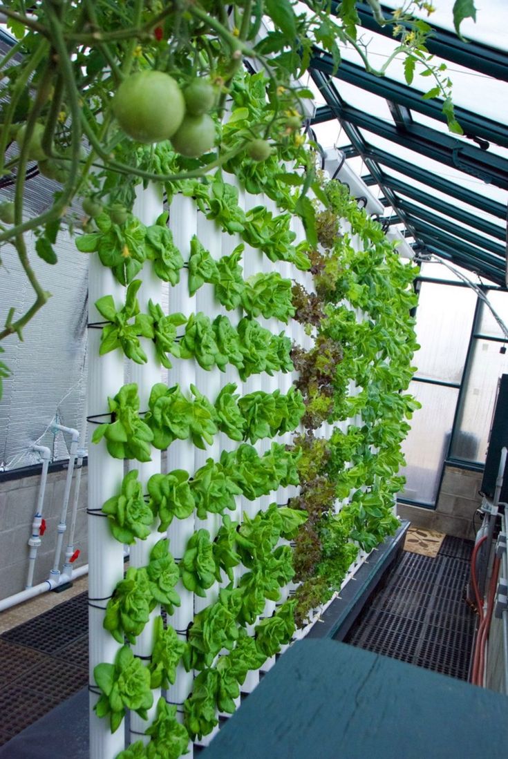 Vertical Garden Hydroponic Gardening