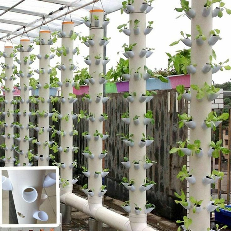 Vertical Hydroponic Garden