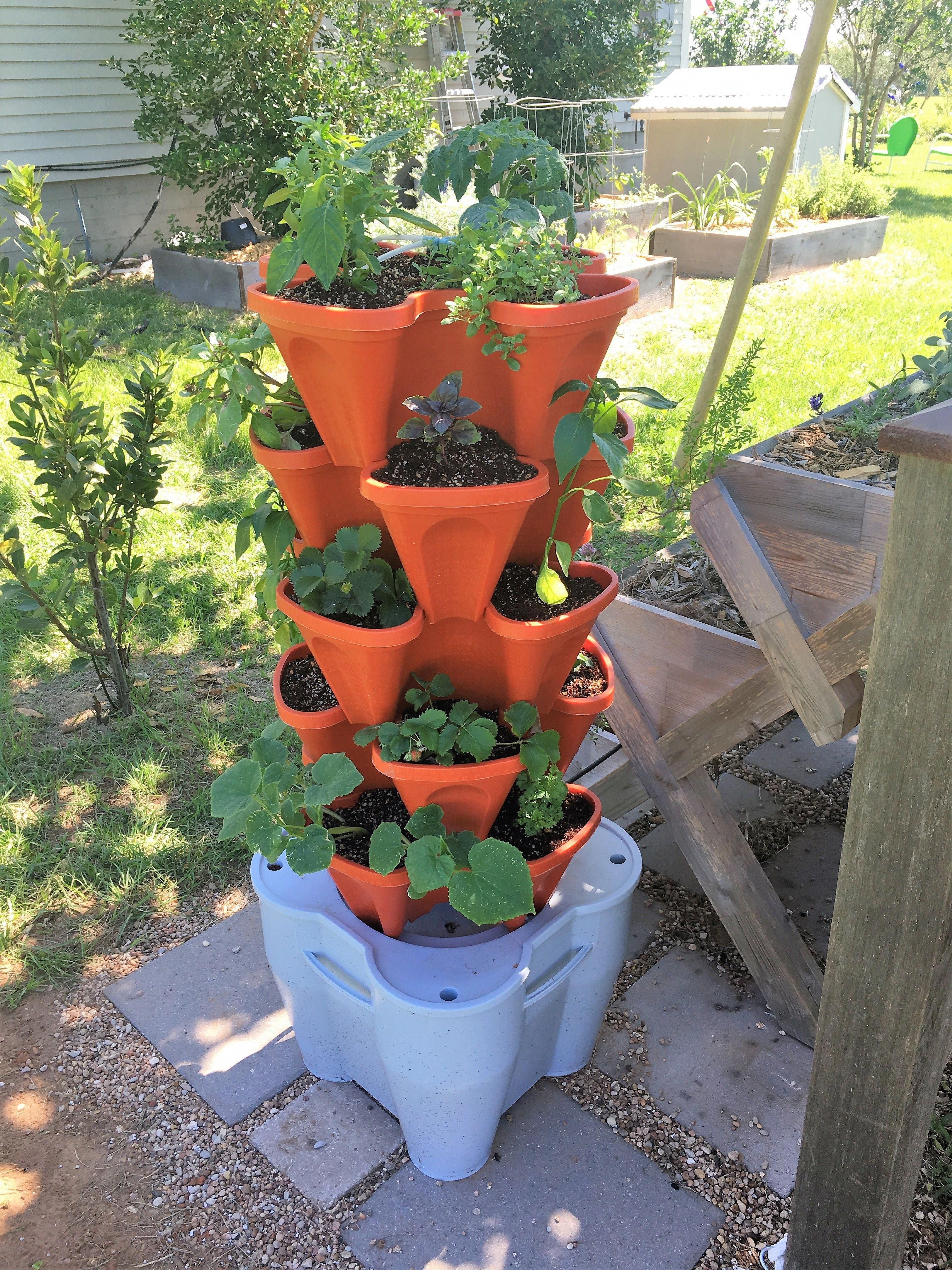 Vertical Planter Diy Indoor Inspiration Planters Project