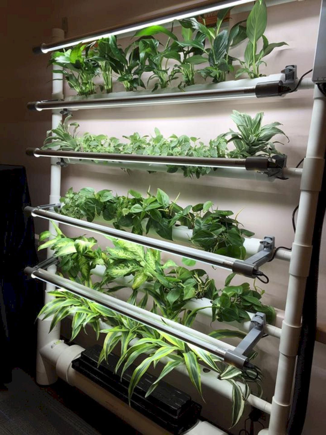 Hydroponic Design Ideas Awesome Indoor Hydroponic Wall Garden