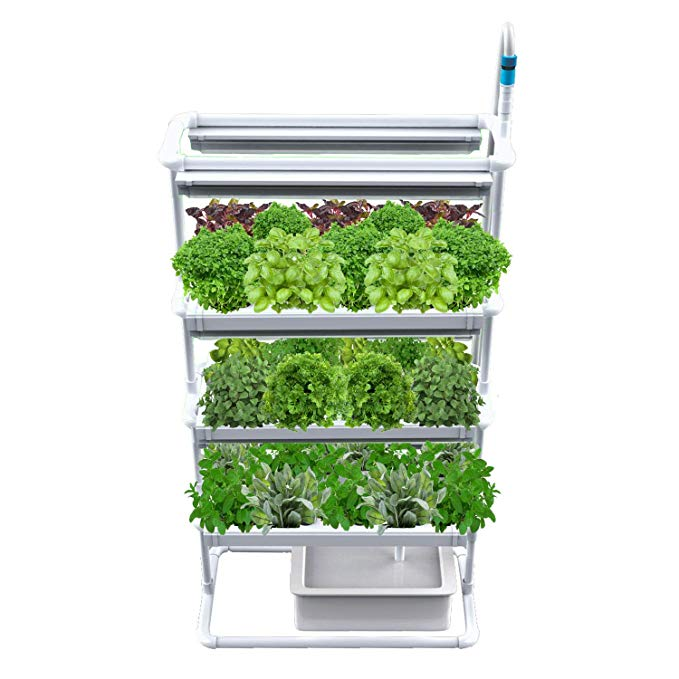 Hydroponics Diy