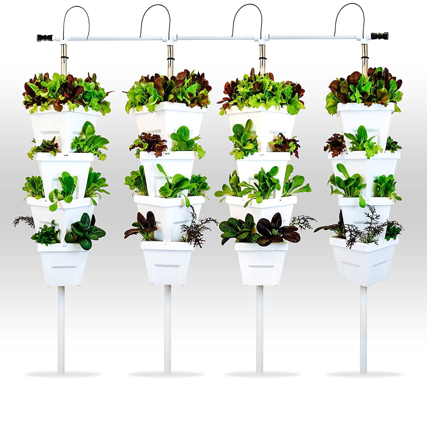Indoor Hydroponic Gardening