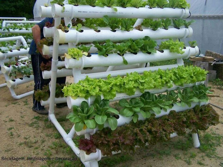 Awesome Hydroponic Gardening Ideas