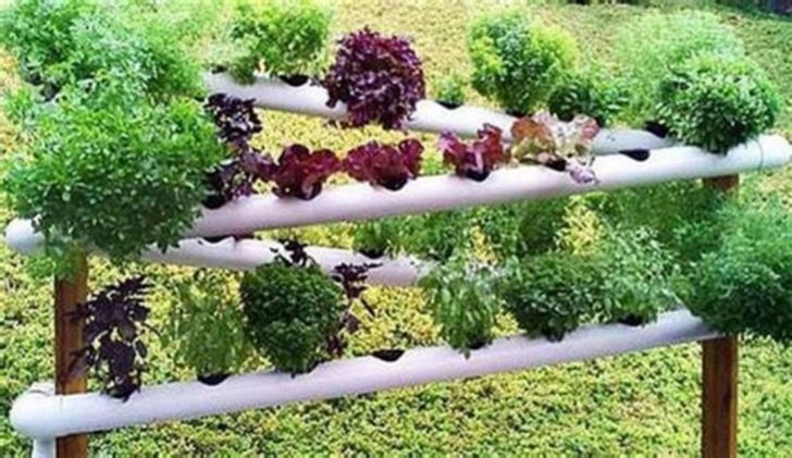 Hydroponic Pvc Planter