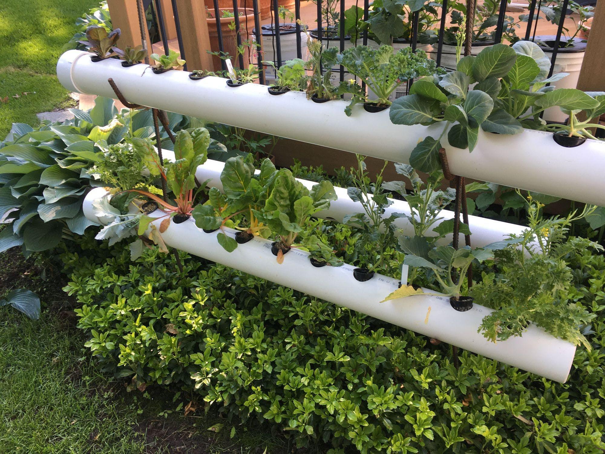 Indoor Hydroponic System Diy Low Budget Diy Pvc Garden Projects
