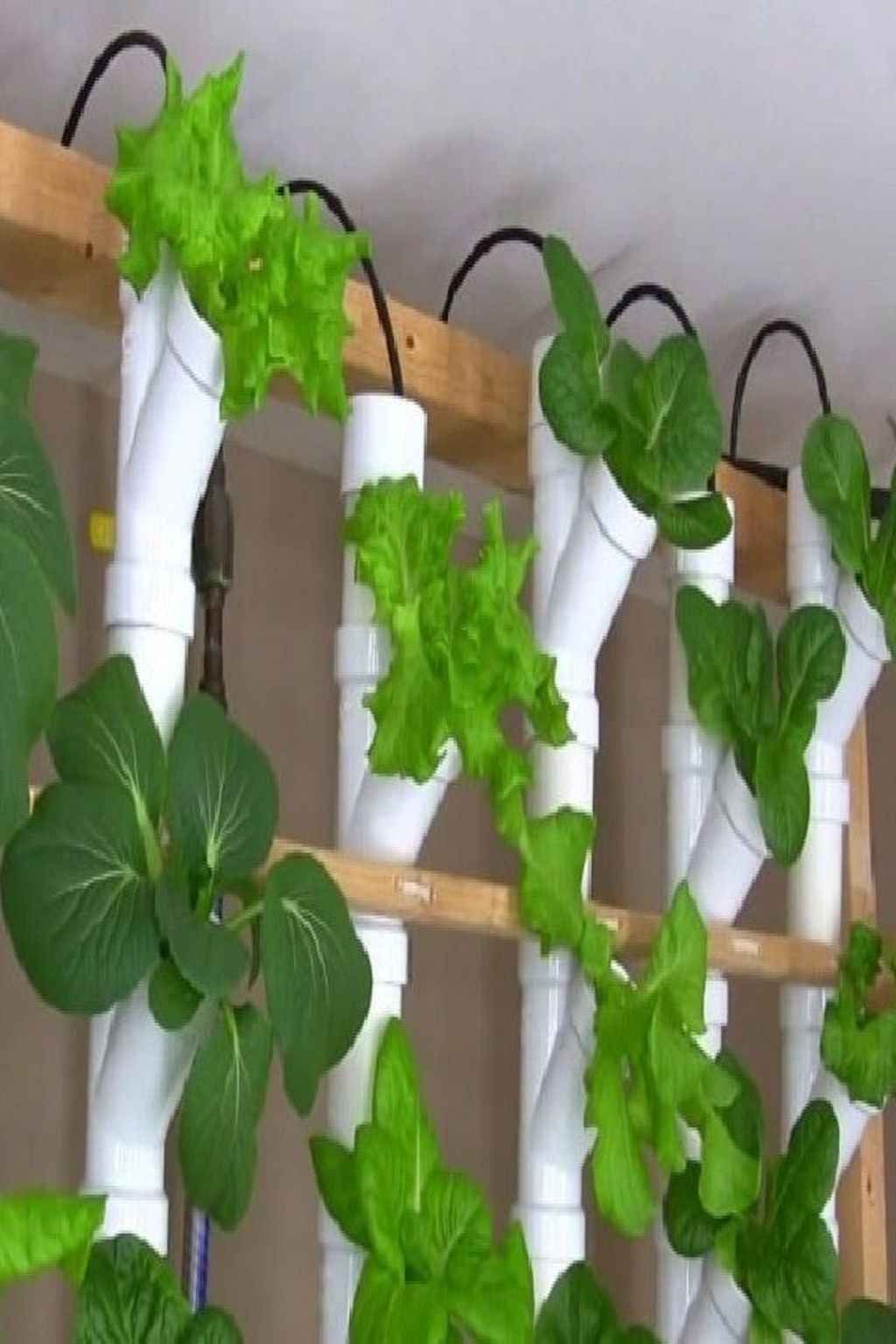 Pvc Garden Ideas Pvc Gardening Vertical Vegetable Gardens