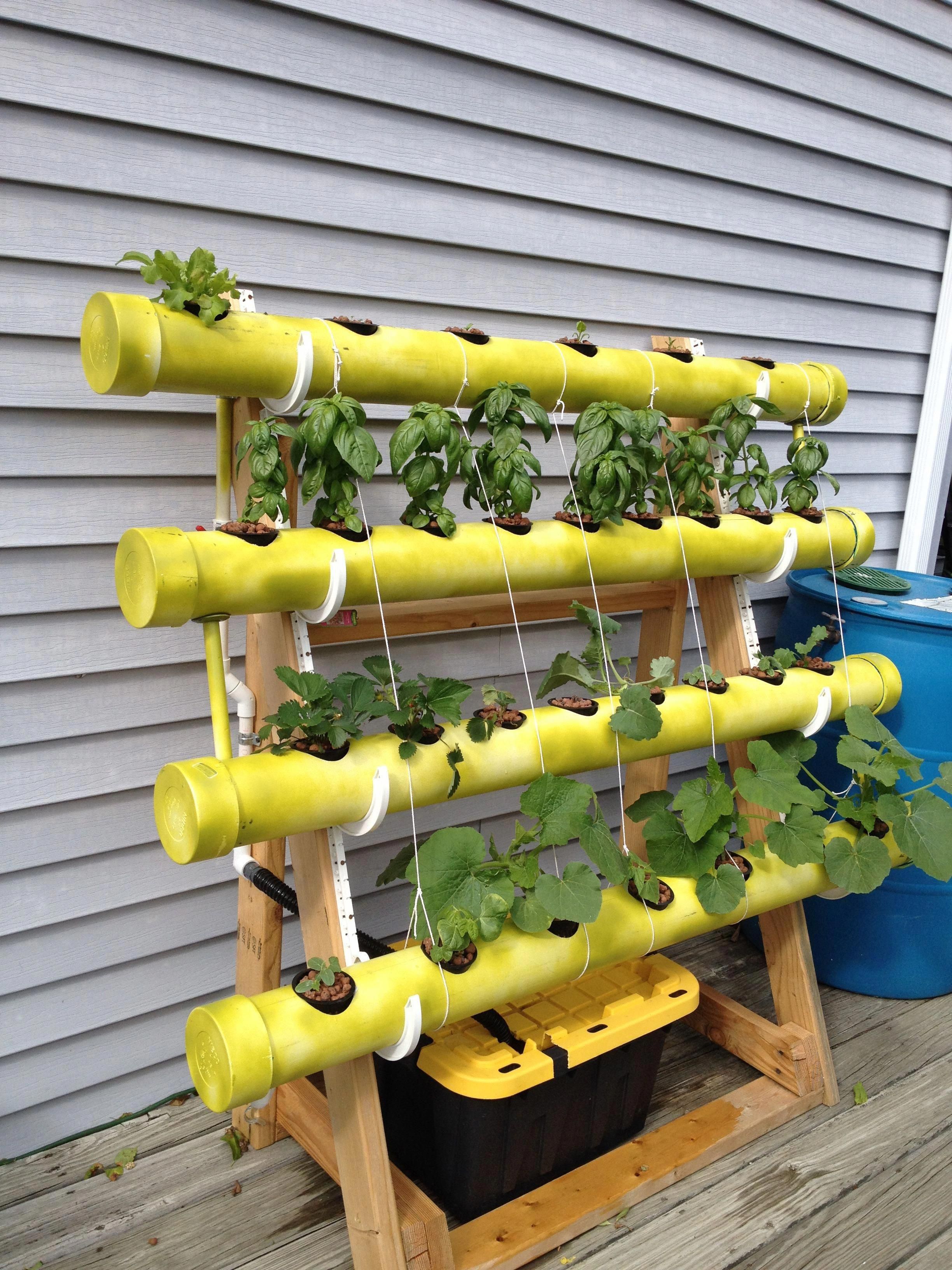 Vertical Hydroponic Gardening Setup Ideas Advantages