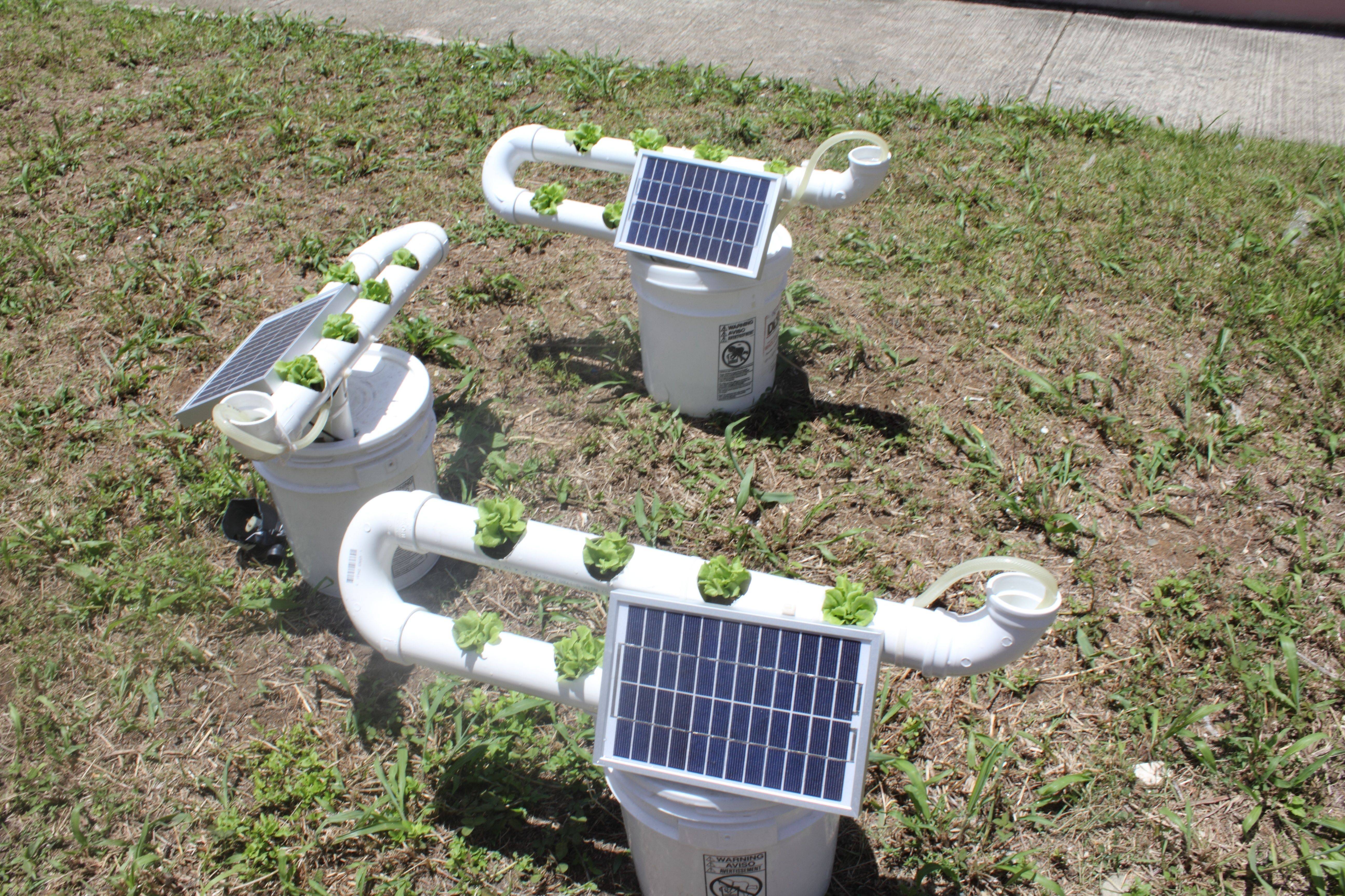 Best Hydroponic Garden Ideas
