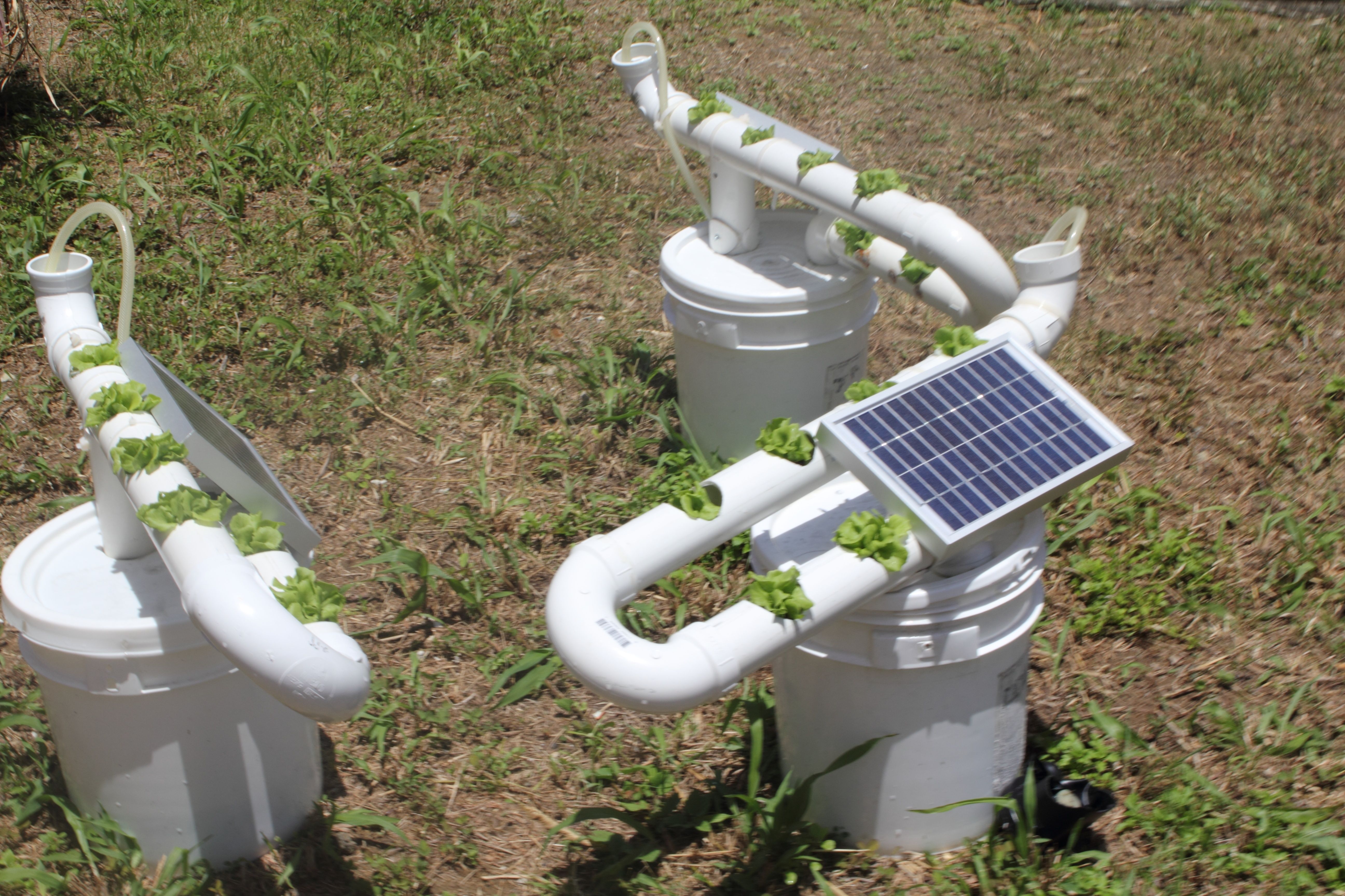 Aquaponics Clay Media Aquaponicsmedium Refferal