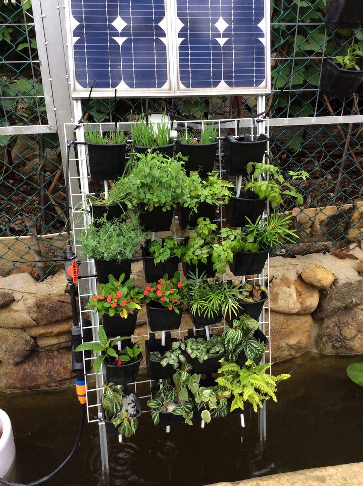 Solarpowered Hydroponic And Aquaponic Edible Wall Garden