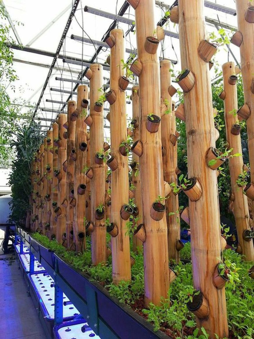 Vertical Aquaponics System