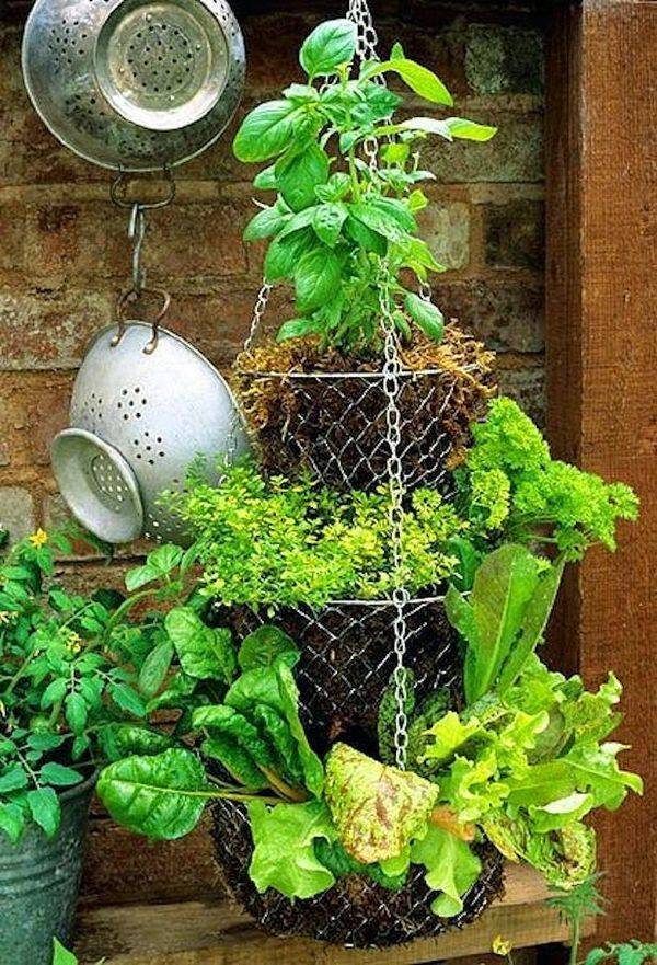 Incredible Vertical Herb Garden Ideas