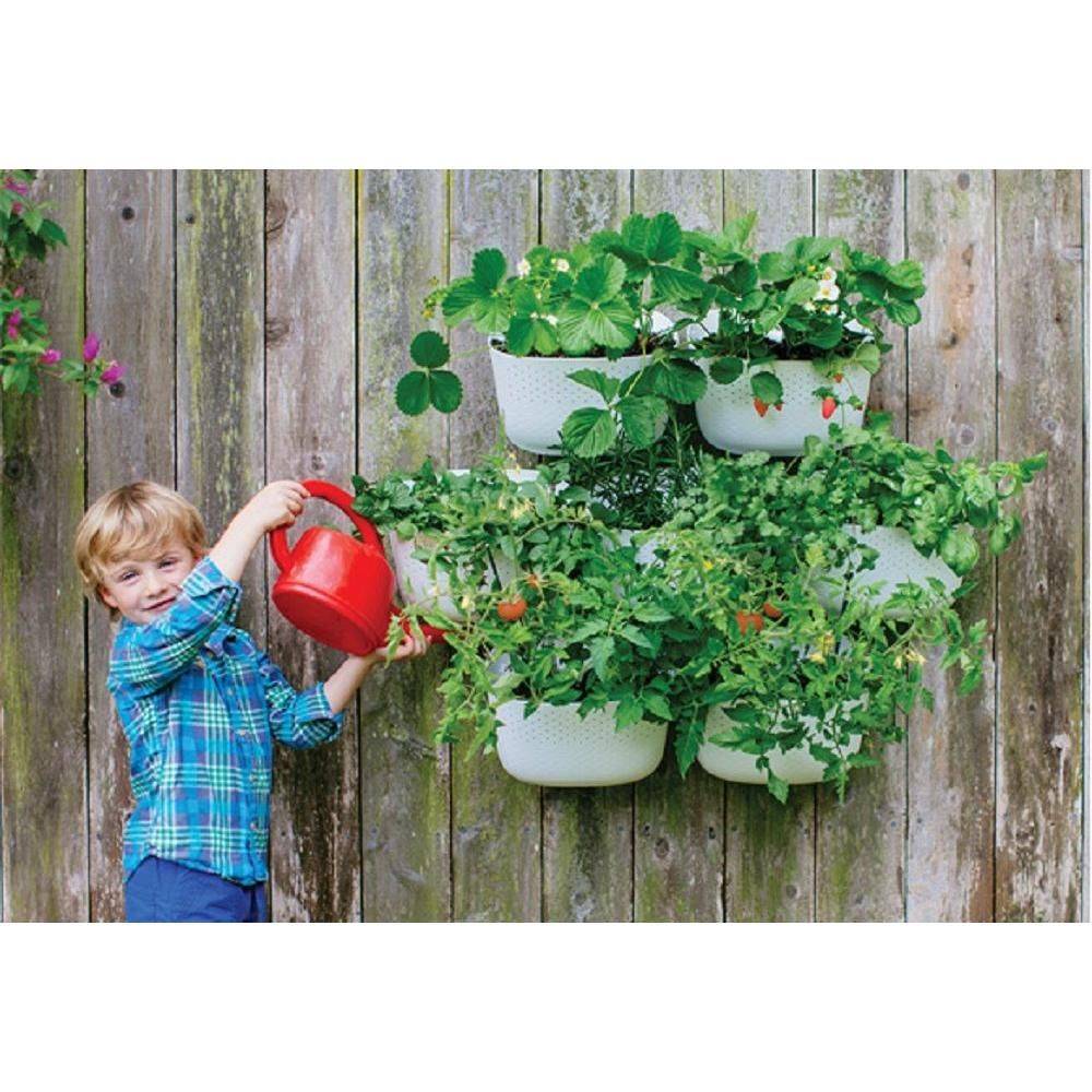 Diy Vertical Wall Planter Ideas Vertical Herb Garden