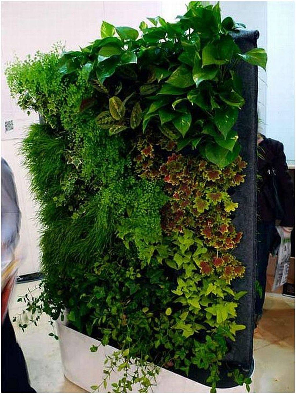 Wonderwall Self Watering Vertical Pocket Garden Wall Planter Starter