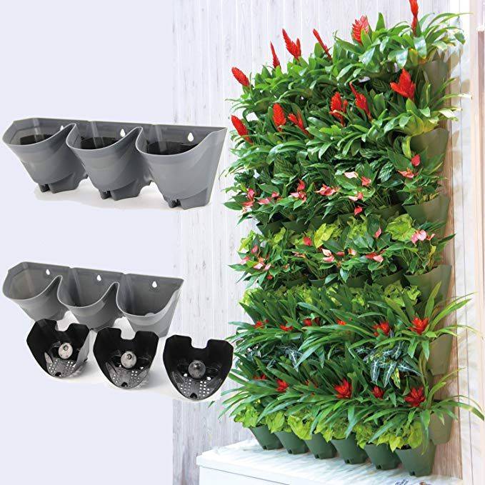 Woolly Pocket Living Wall Planter