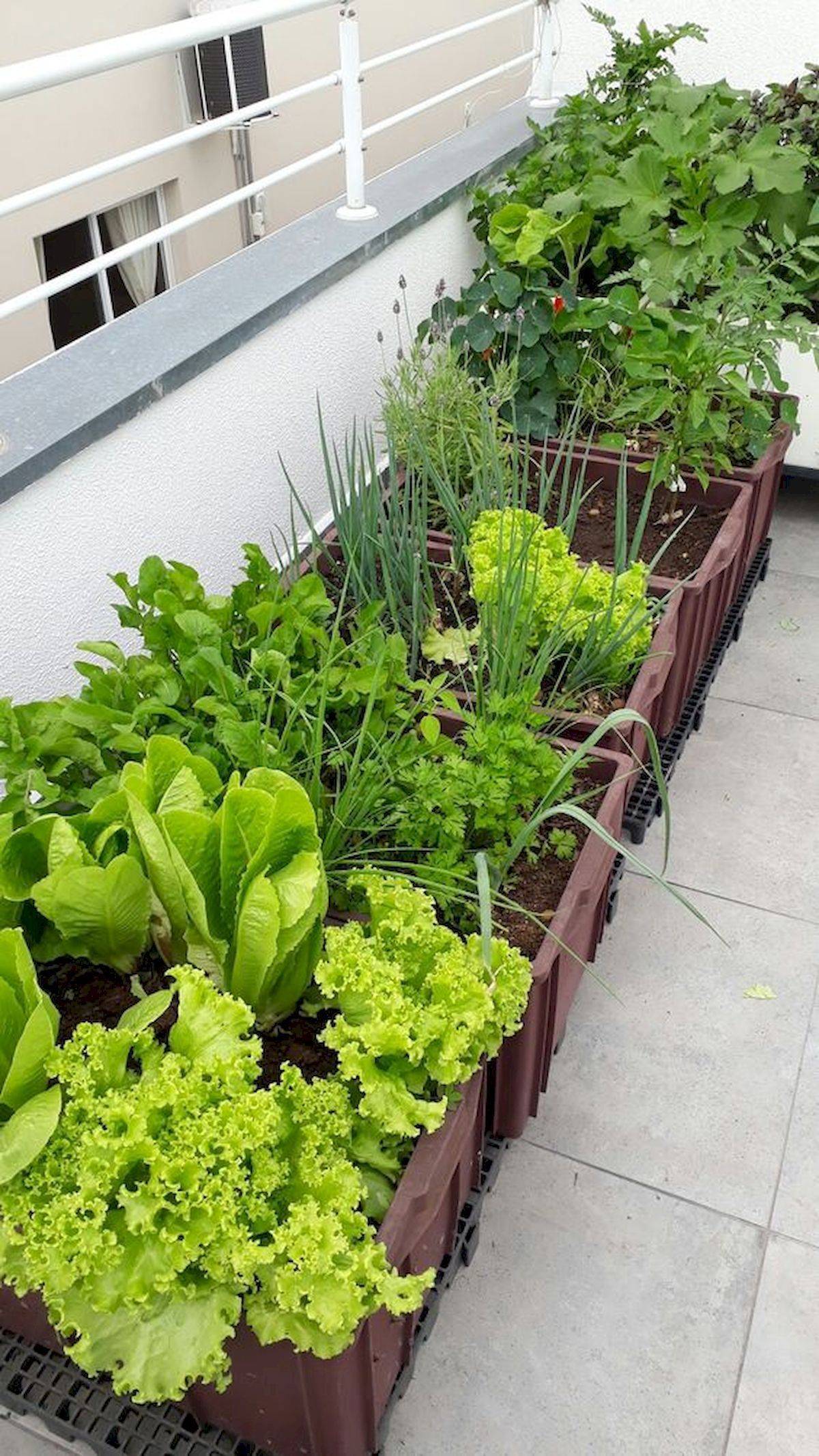 Beautiful Apartment Balcony Vegetable Garden Ideas Balcony