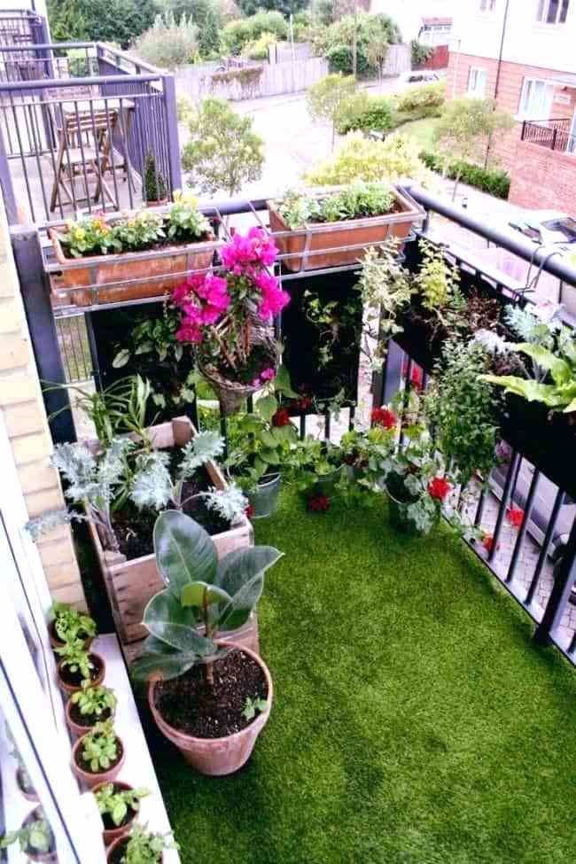 Your Garden Apartment Vegetable