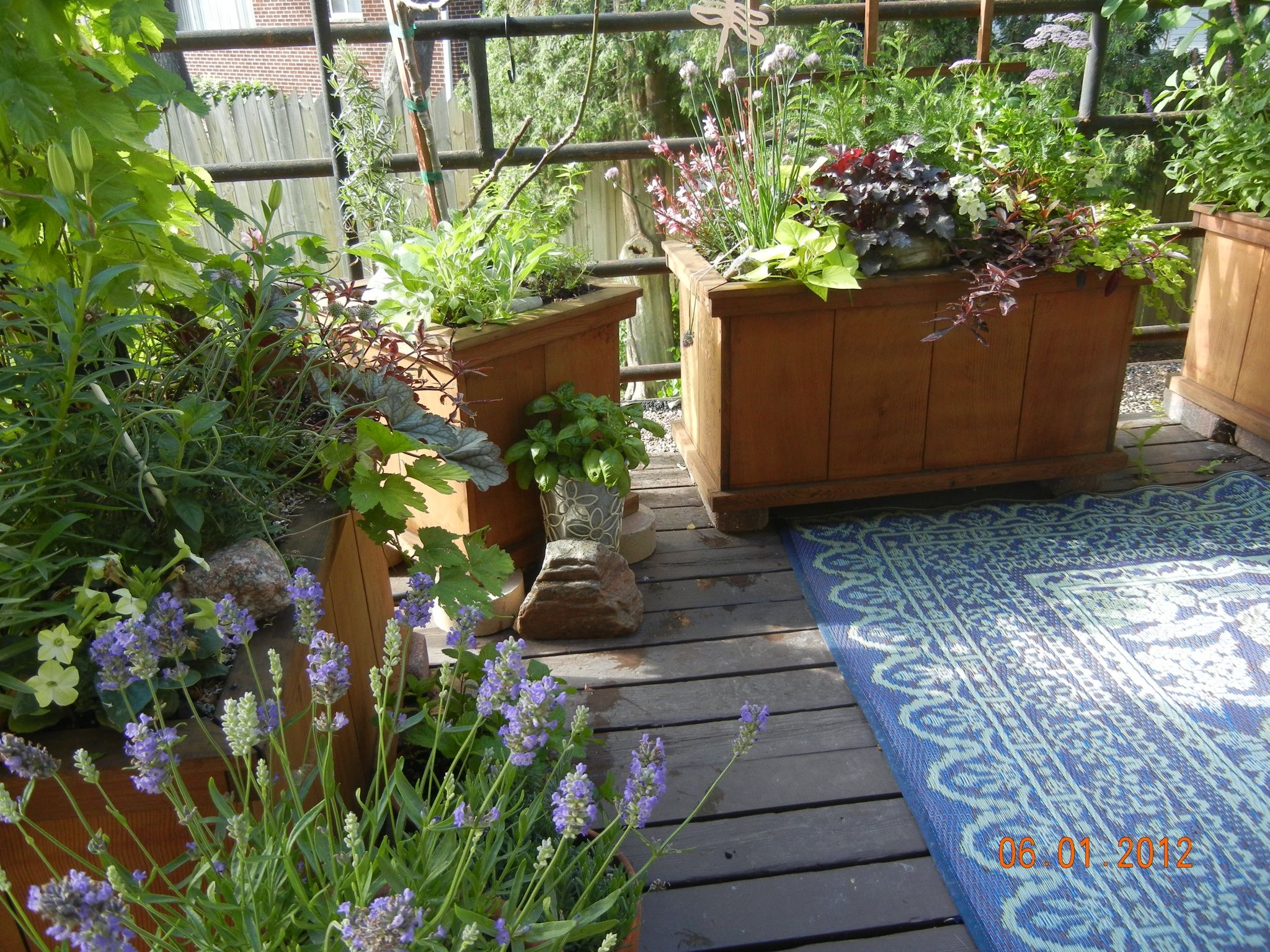 Apartment Patio Backyard Veggie Gardening Ideas