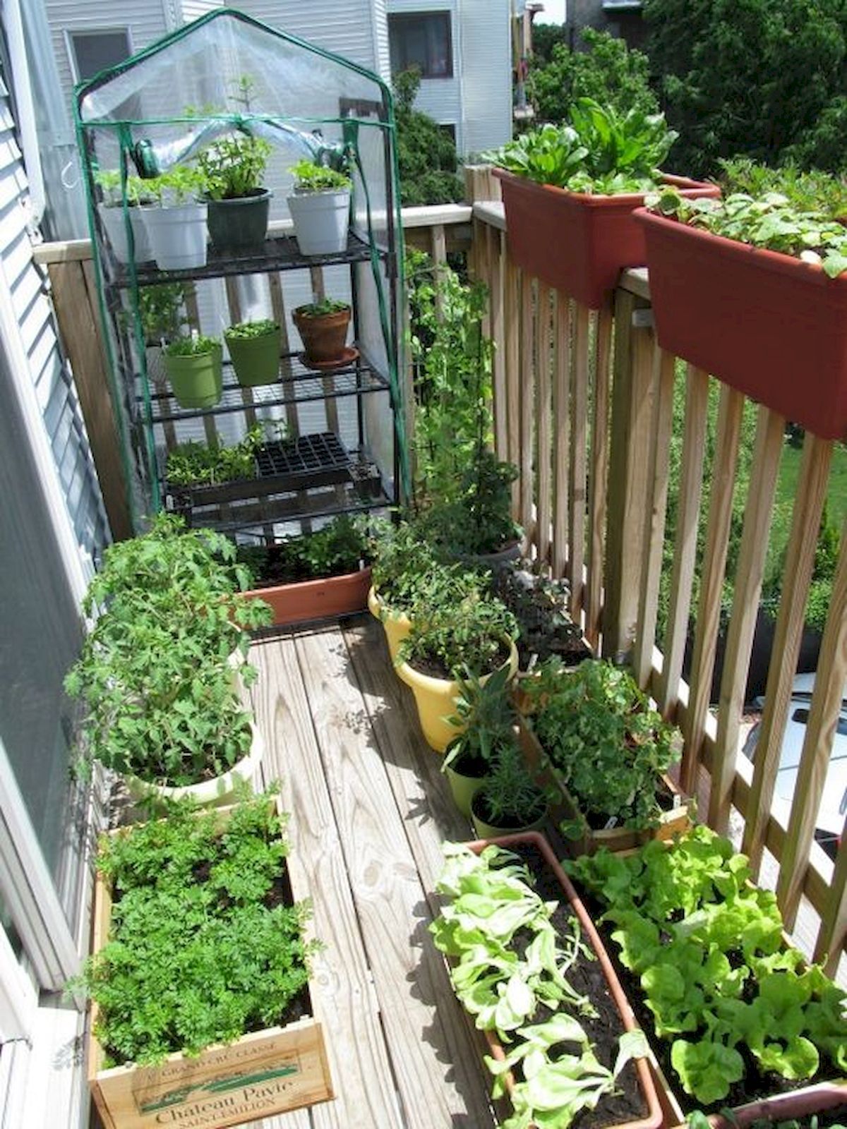 Apartment Patio Vegetable Garden Garden Design Ideas