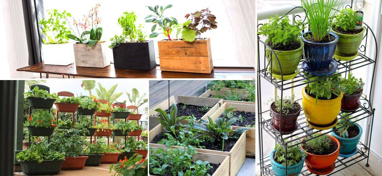 Unique And Unusual Diy Vegetable Garden Ideas Simphome