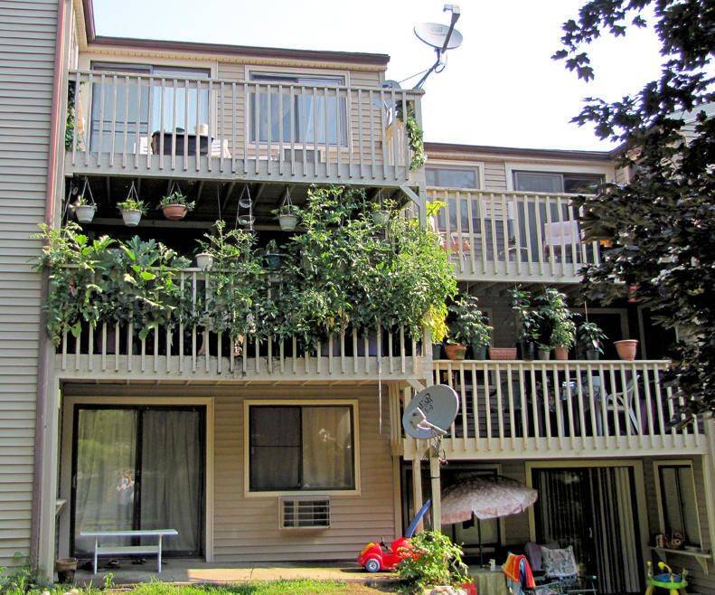 Gardening Veggies Balconies Httpssilahsilahcomgardenexterior