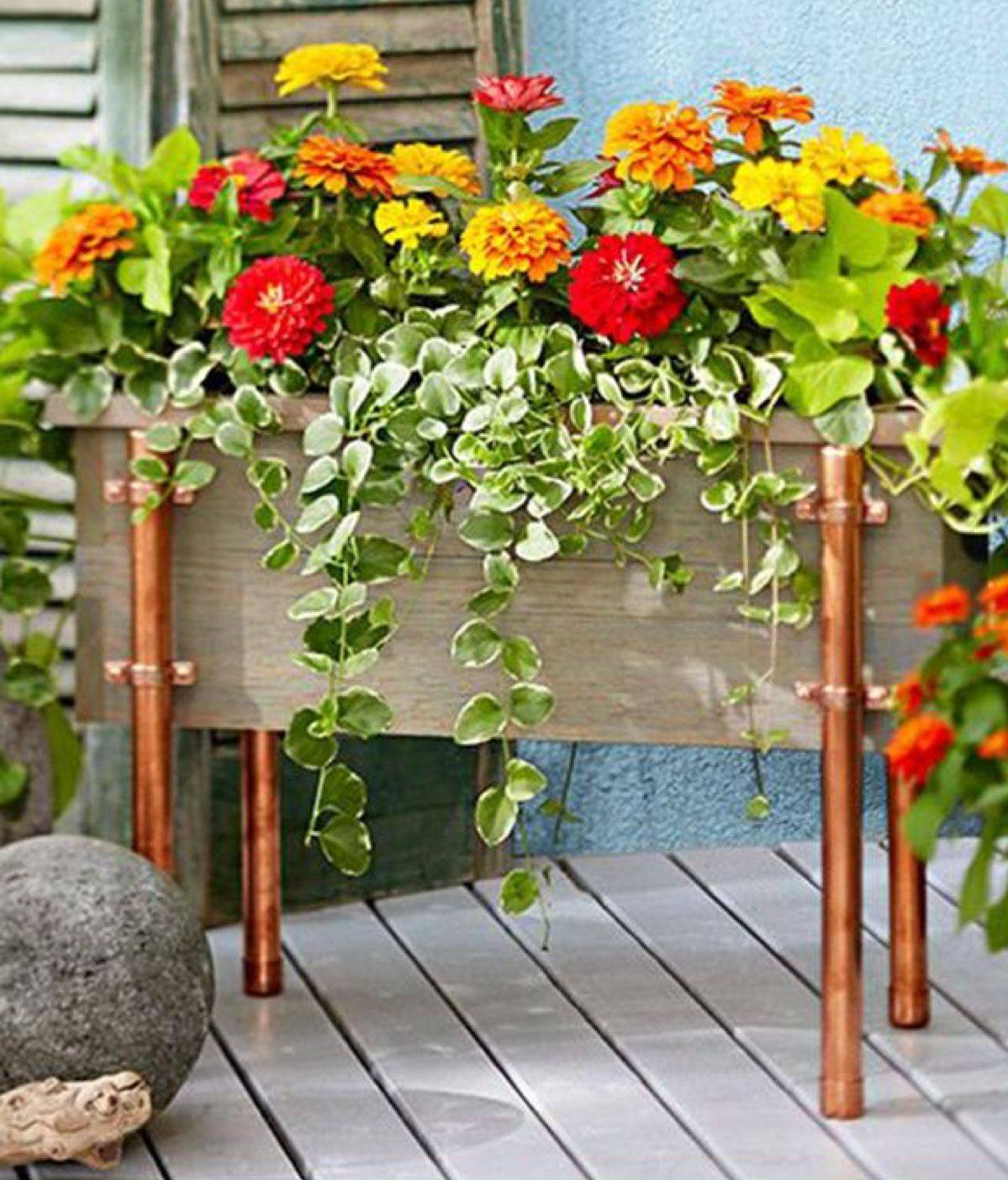 Veggie Garden