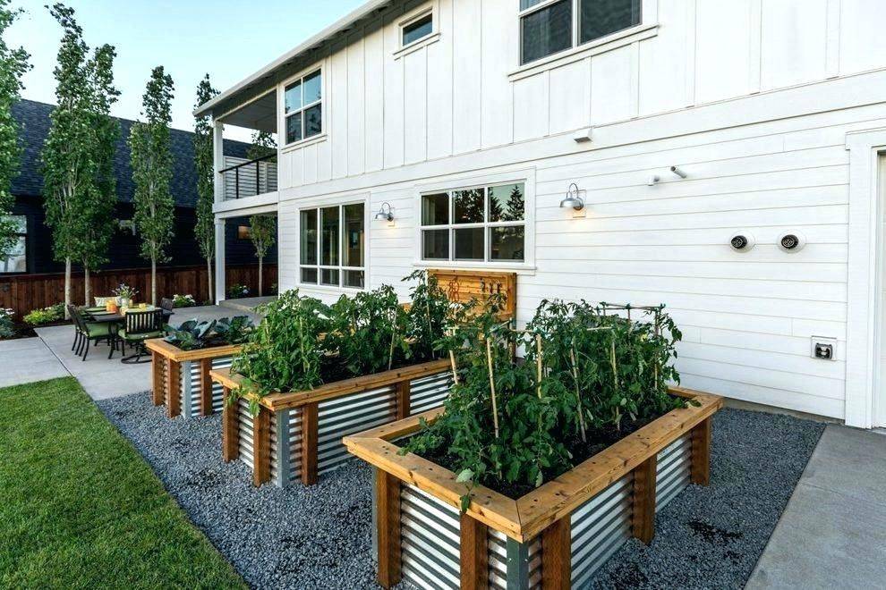Patio And Balcony Gardening