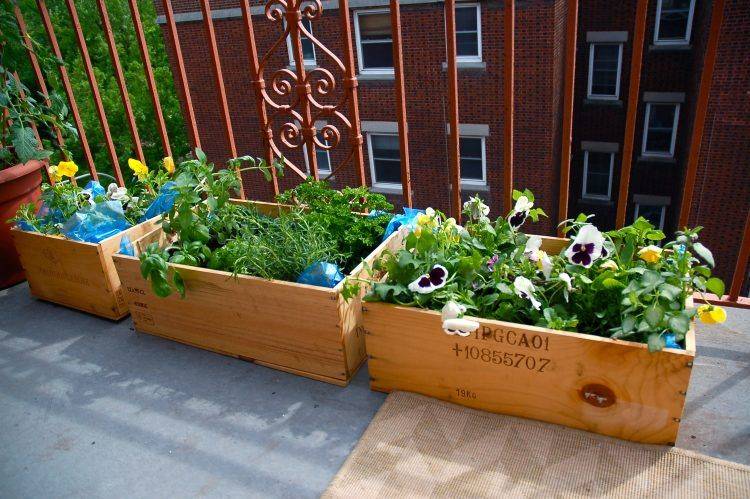 Balcony Herb Gardens