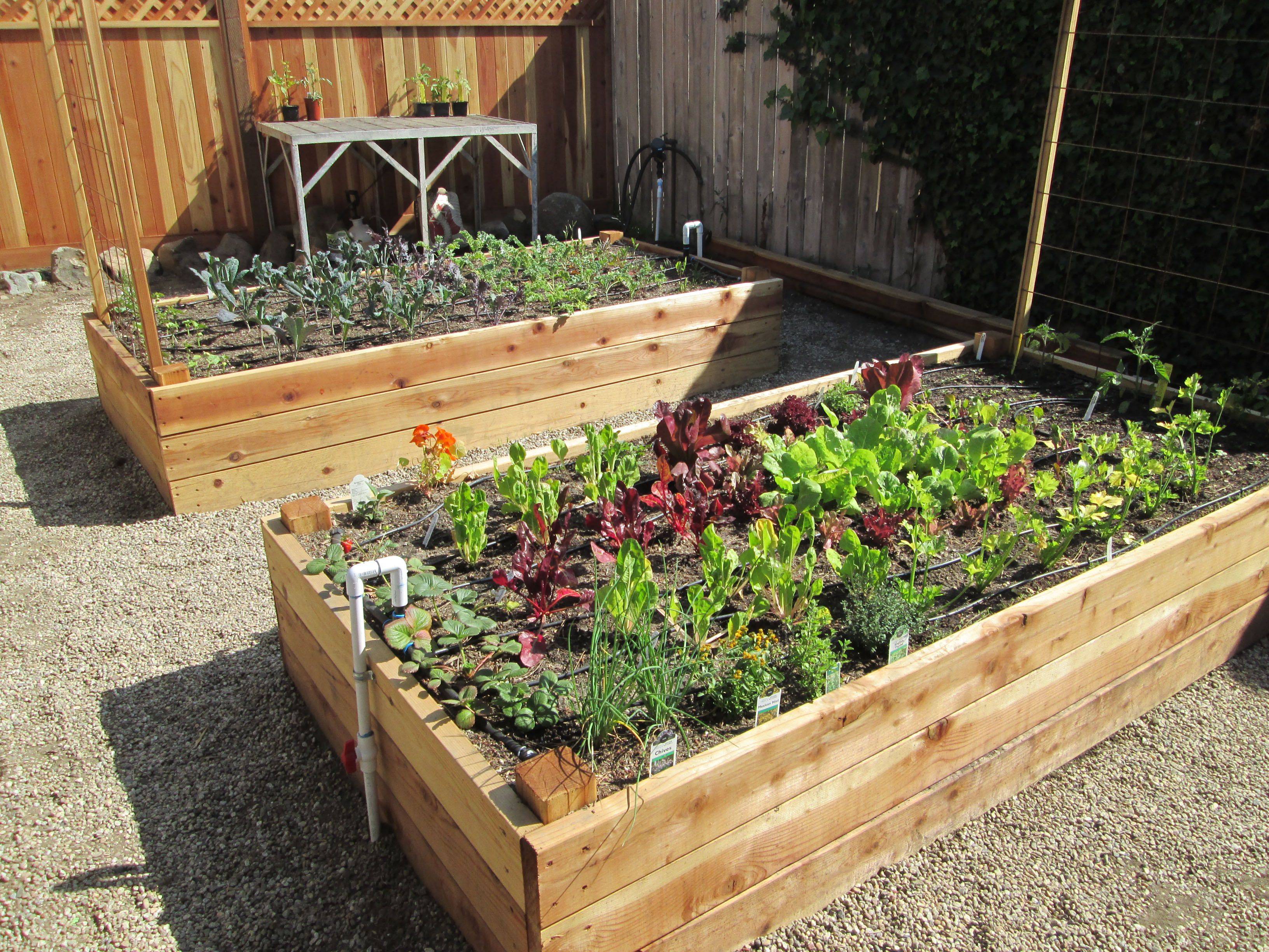 Flower Pots Outdoor