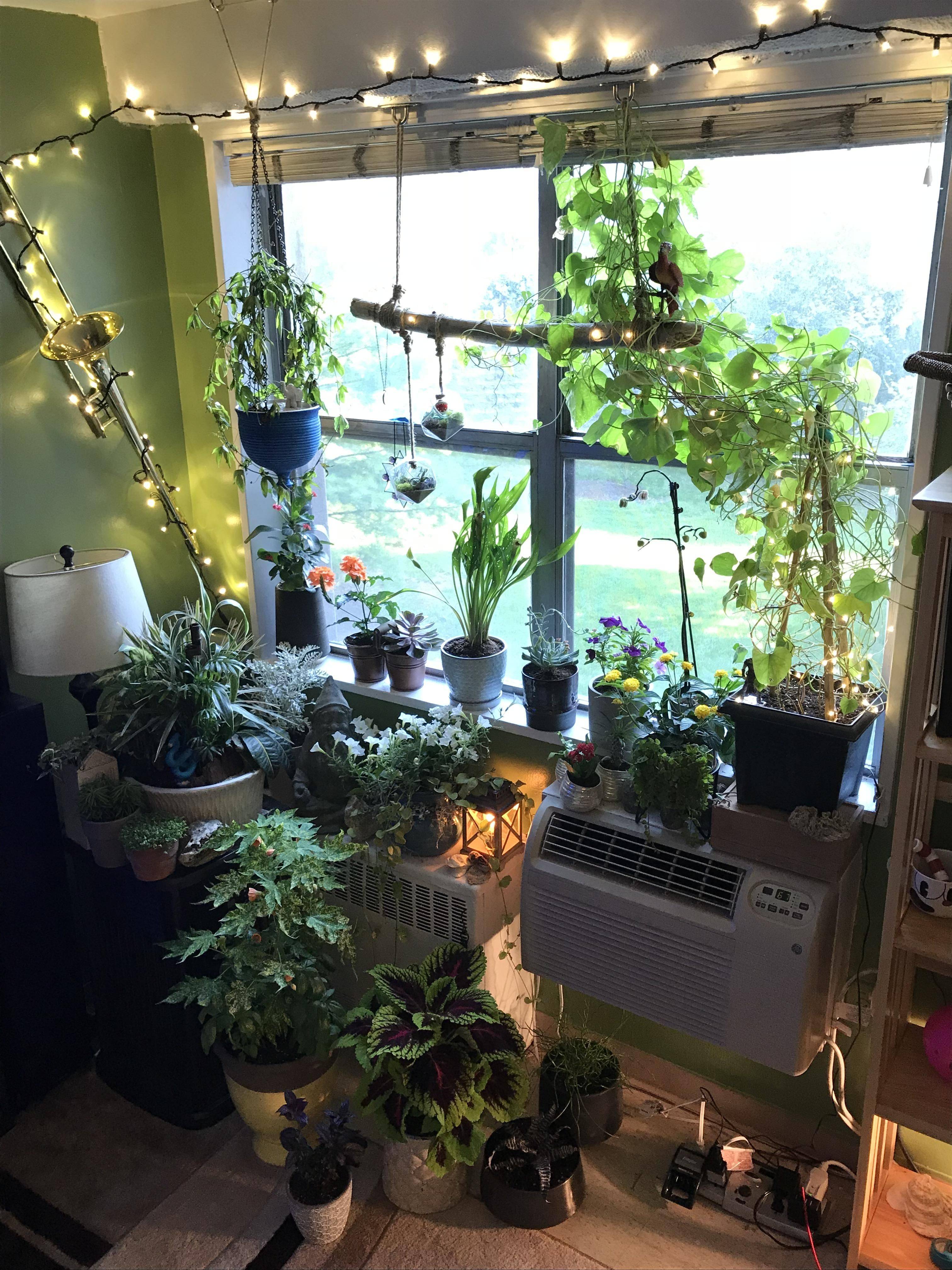 Indoor Garden Ideas