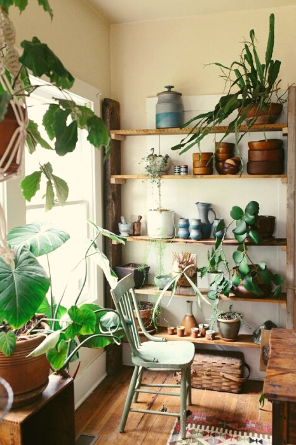 Gardening Indoor Garden Rooms