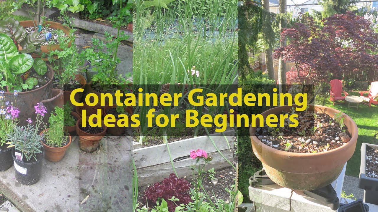 Container Gardening