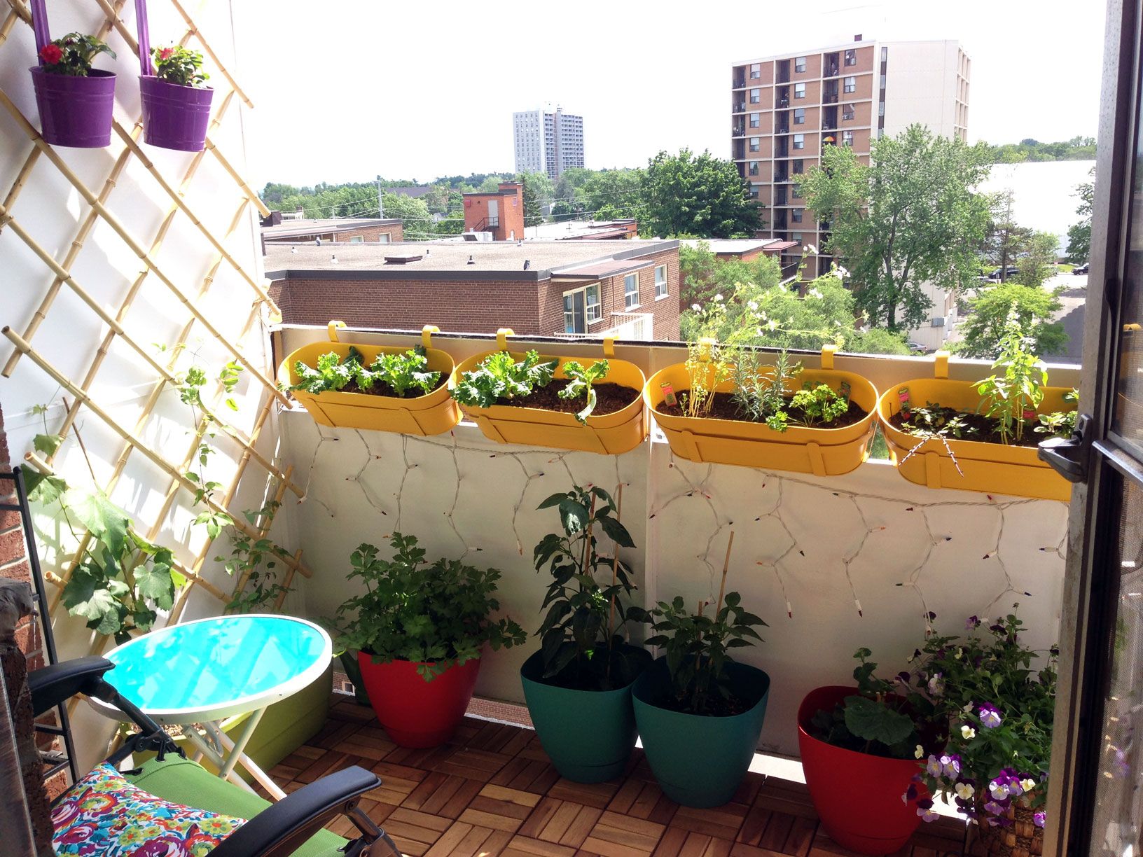Apartment Gardening Ideas