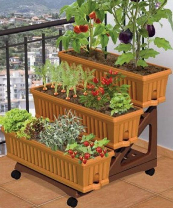 Beautiful Container Garden