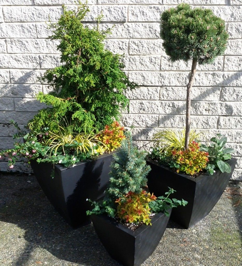 Container Gardens