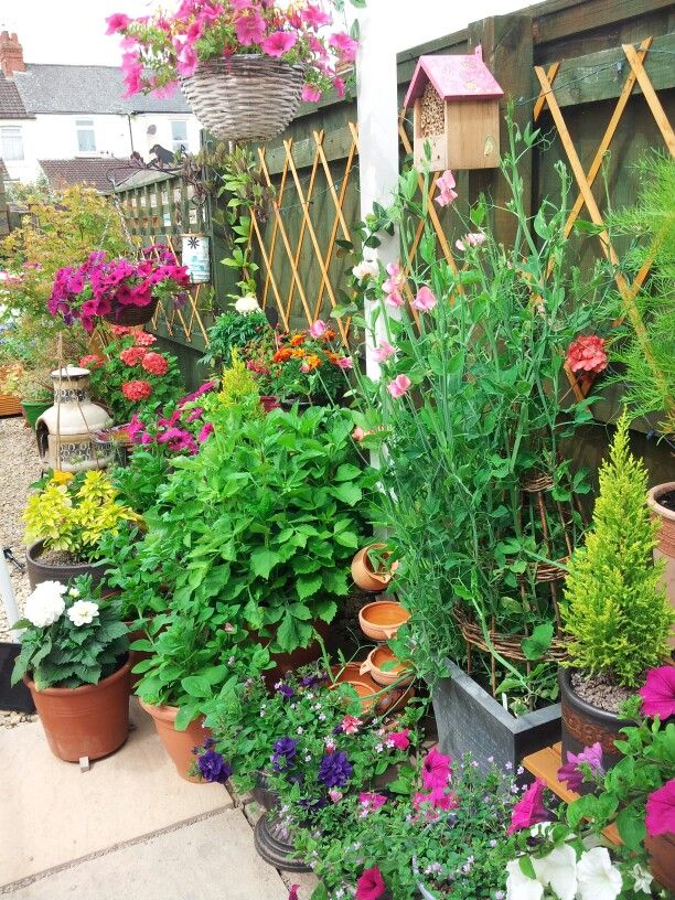Tiny Apartment Container Garden