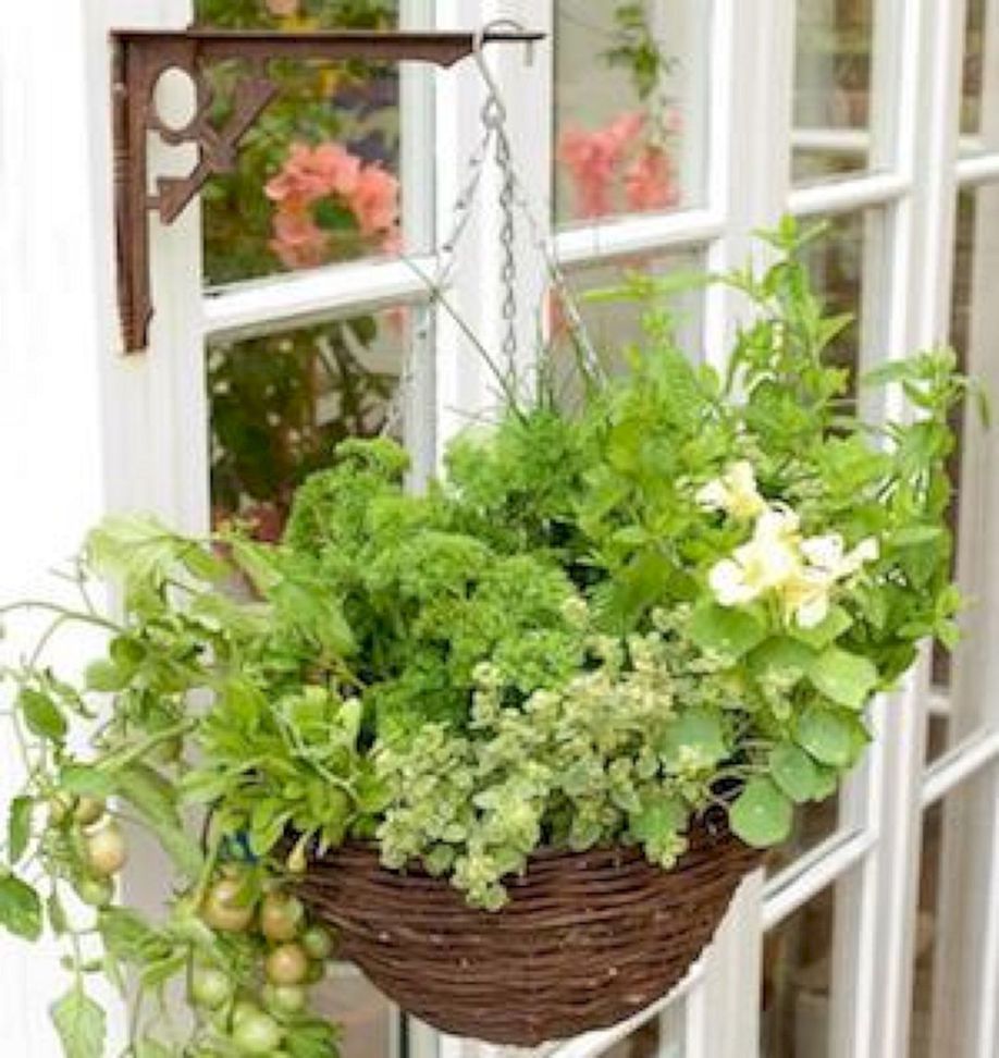Tiny Apartment Container Garden