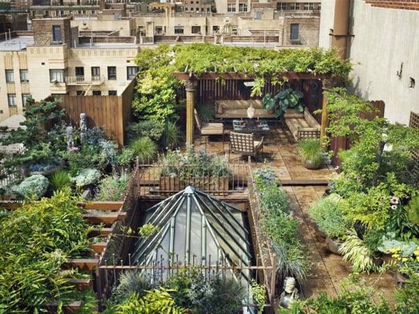 Urban Garden Ideas
