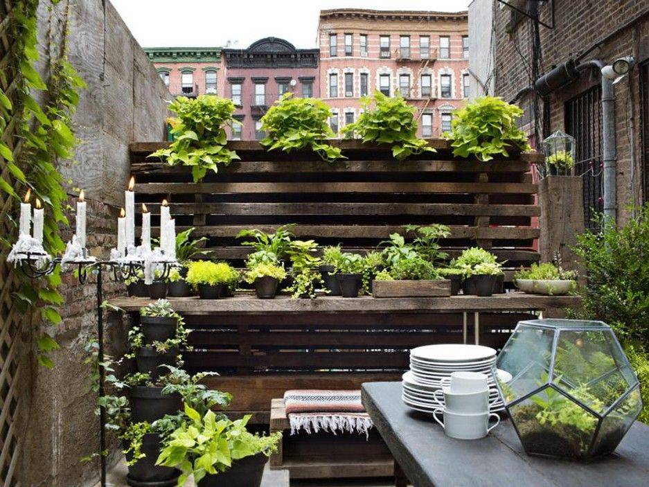 Urban Gardening Ideas