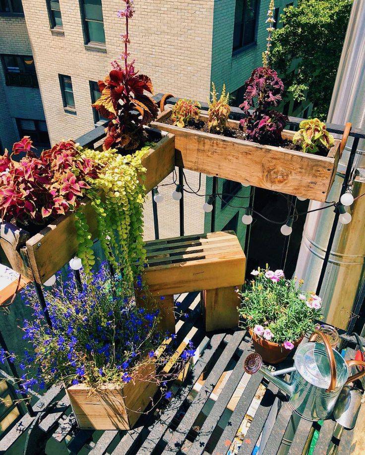 Urban Garden Ideas