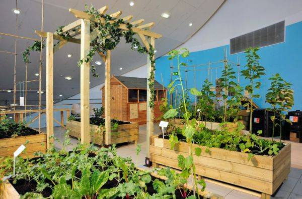Urbanrooftopgardeningideas