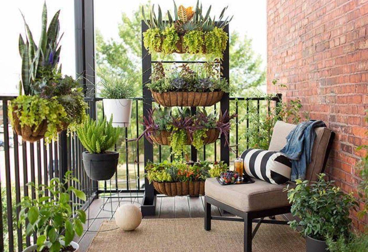 Easy Apartment Gardening Ideas