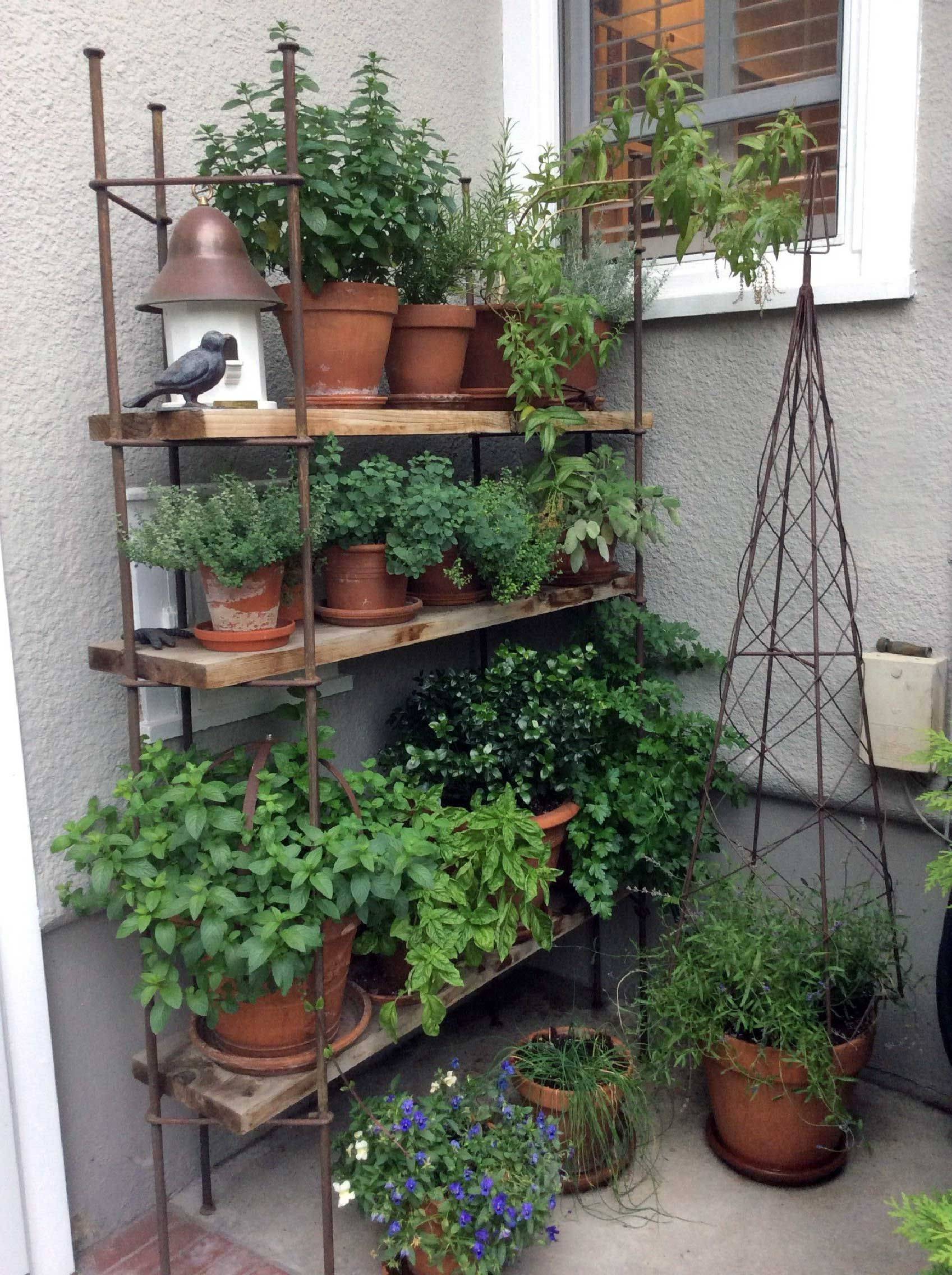 Different Balcony Herb Garden Ideas