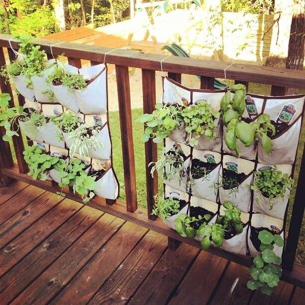 A Vertical Herb Garden