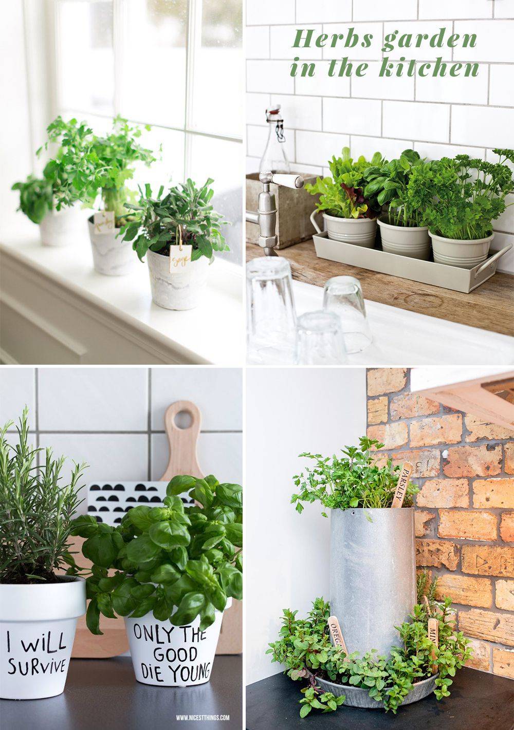 Sky Garden Succulent Herb Planter Flower Basket Pot Trough Box Plant