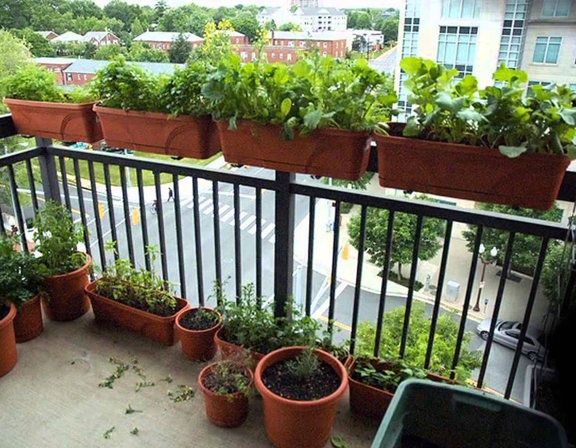 Indoor Gardening Ideas